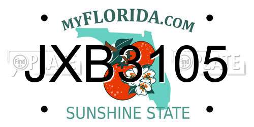 JXB3105 Florida License Plate