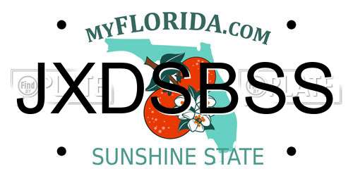 JXDSBSS Florida License Plate
