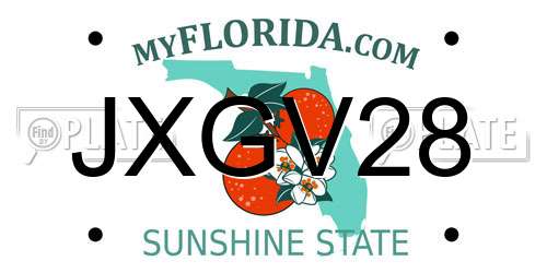 JXGV28 Florida License Plate