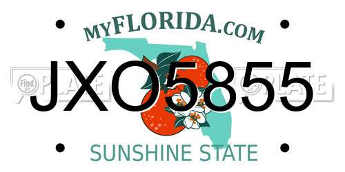 JXO5855 Florida License Plate