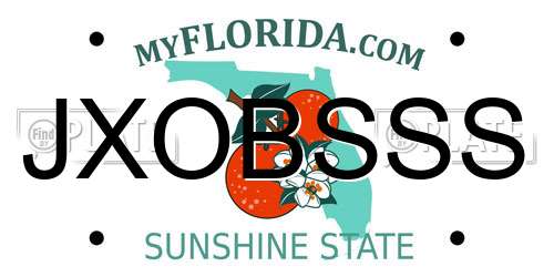JXOBSSS Florida License Plate