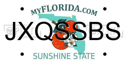 JXQSSBS Florida License Plate