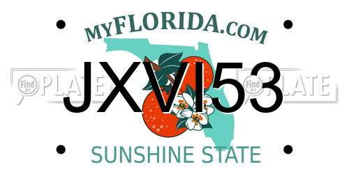 JXVI53 Florida License Plate