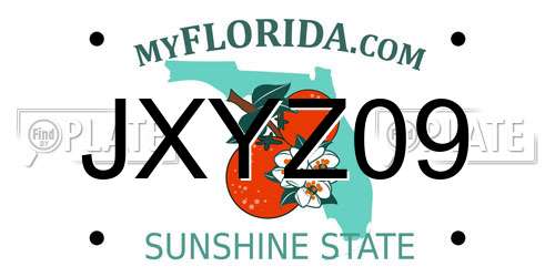 JXYZ09 Florida License Plate