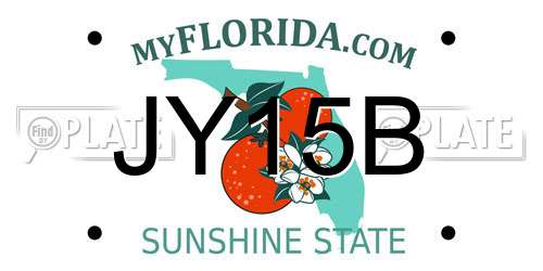 JY15B Florida License Plate