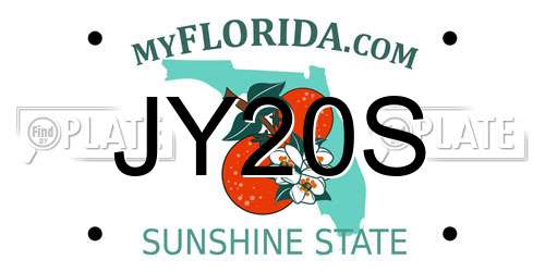 JY20S Florida License Plate