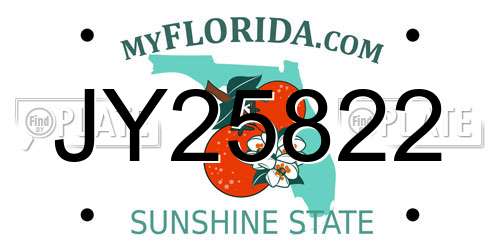 JY25822 Florida License Plate