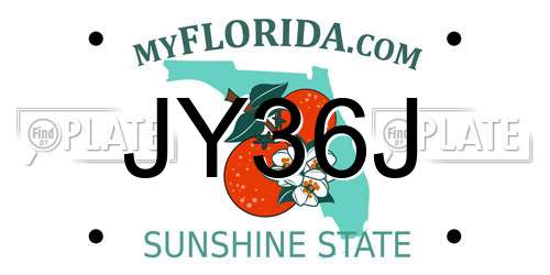 JY36J Florida License Plate