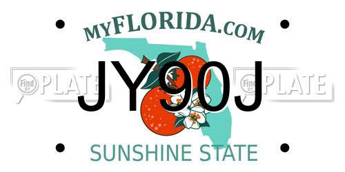 JY90J Florida License Plate