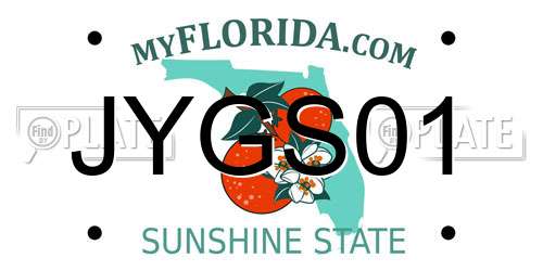 JYGS01 Florida License Plate