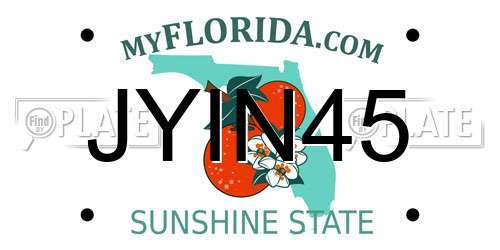 JYIN45 Florida License Plate