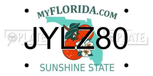 JYLZ80 Florida License Plate