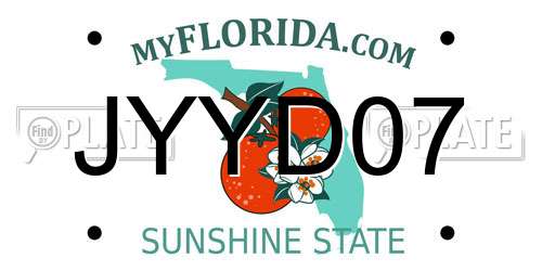 JYYD07 Florida License Plate