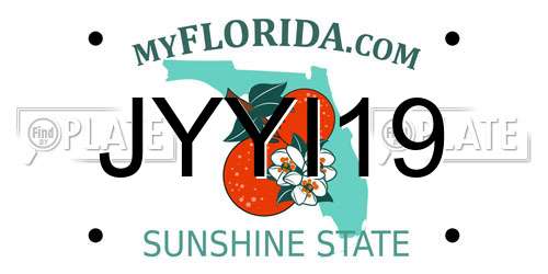 JYYI19 Florida License Plate