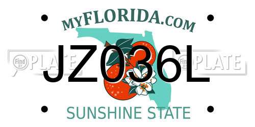 JZ036L Florida License Plate