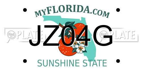JZ04G Florida License Plate