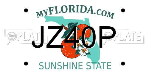 JZ40P Florida License Plate