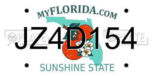 JZ4D154 Florida License Plate