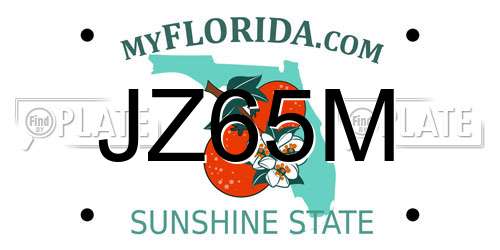 JZ65M Florida License Plate