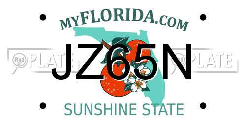 JZ65N Florida License Plate