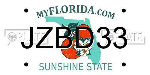JZBD33 Florida License Plate