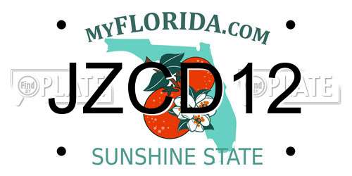 JZCD12 Florida License Plate