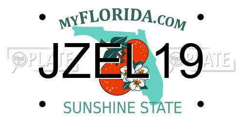 JZEL19 Florida License Plate