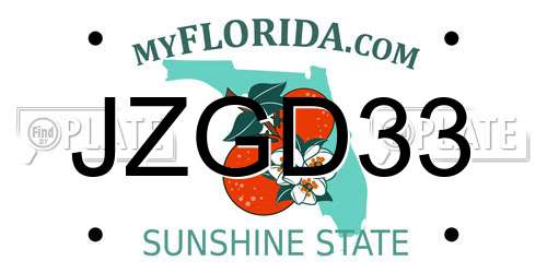 JZGD33 Florida License Plate