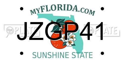 JZGP41 Florida License Plate