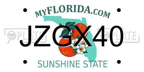 JZGX40 Florida License Plate