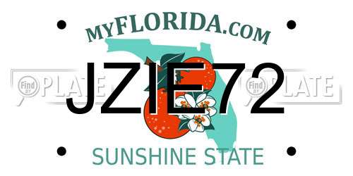 JZIE72 Florida License Plate