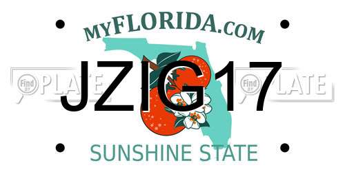 JZIG17 Florida License Plate