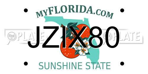 JZIX80 Florida License Plate