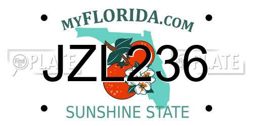 JZL236 Florida License Plate