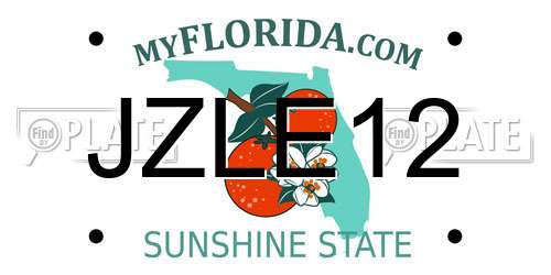 JZLE12 Florida License Plate