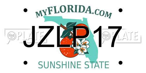 JZLP17 Florida License Plate