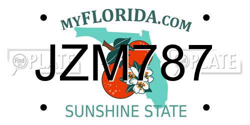 JZM787 Florida License Plate