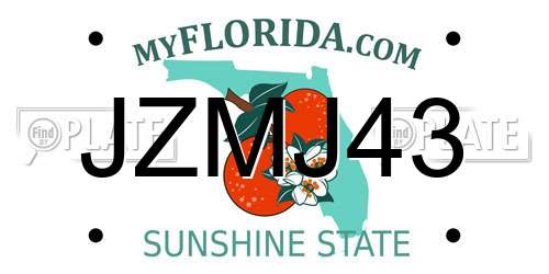 JZMJ43 Florida License Plate
