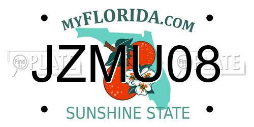 JZMU08 Florida License Plate
