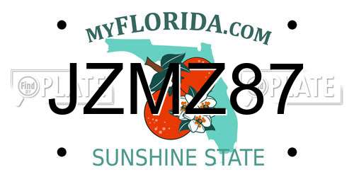 JZMZ87 Florida License Plate