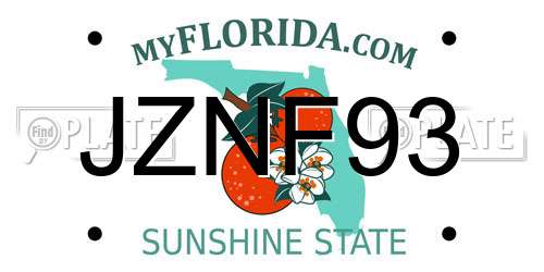 JZNF93 Florida License Plate