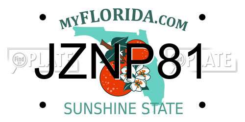 JZNP81 Florida License Plate
