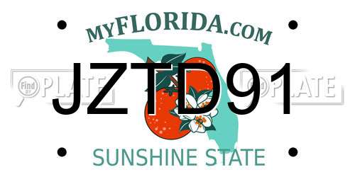 JZTD91 Florida License Plate