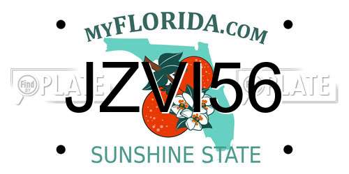 JZVI56 Florida License Plate