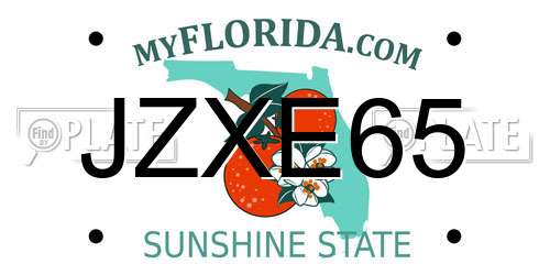 JZXE65 Florida License Plate