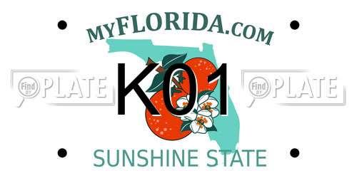K01 Florida License Plate