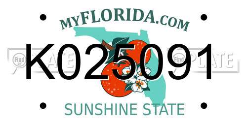 K025091 Florida License Plate
