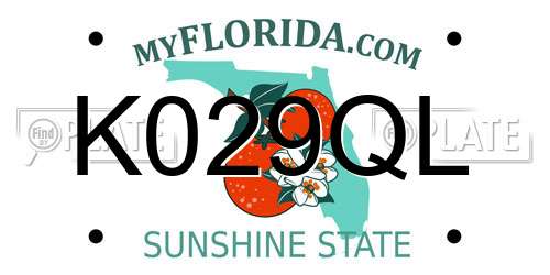 K029QL Florida License Plate