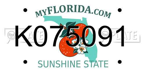 K075091 Florida License Plate
