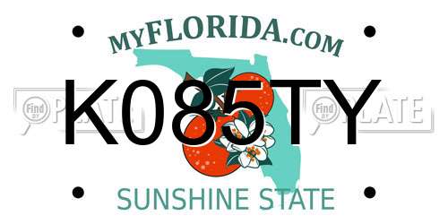 K085TY Florida License Plate